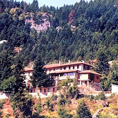 Pigi Tarlampa 3*