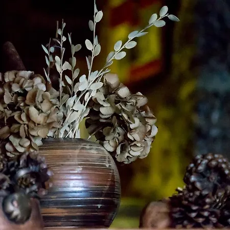 호텔 Pigi Tarlampa