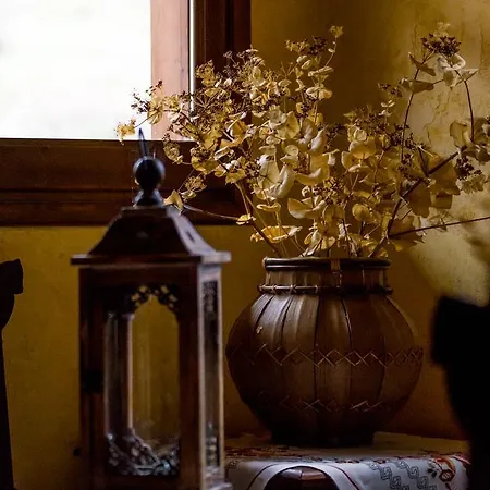 Pigi Tarlampa 호텔 아노 트리칼라