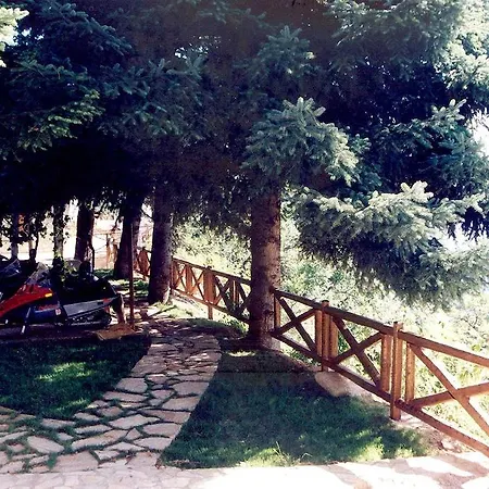 Pigi Tarlampa