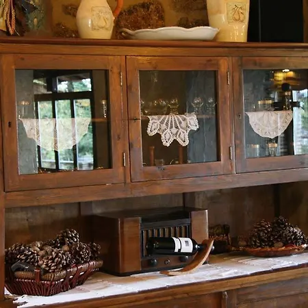 Pigi Tarlampa 아노 트리칼라