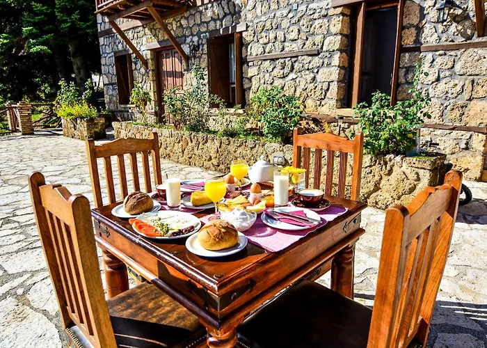 Pigi Tarlampa Otel 3*