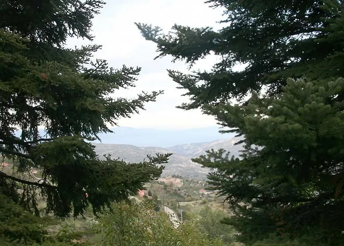 Pigi Tarlampa Ano Trikala